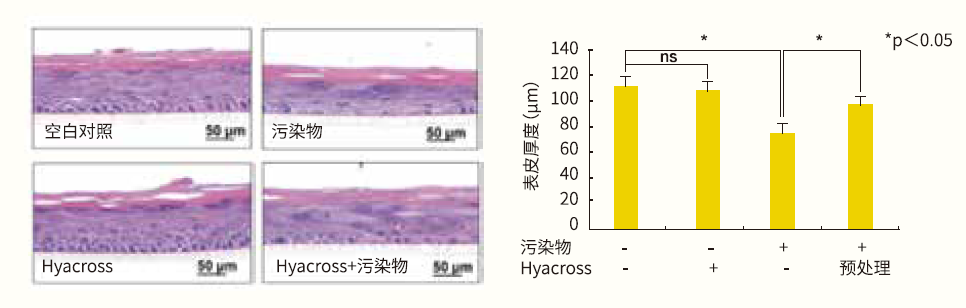 微信图片_20220613185836.png