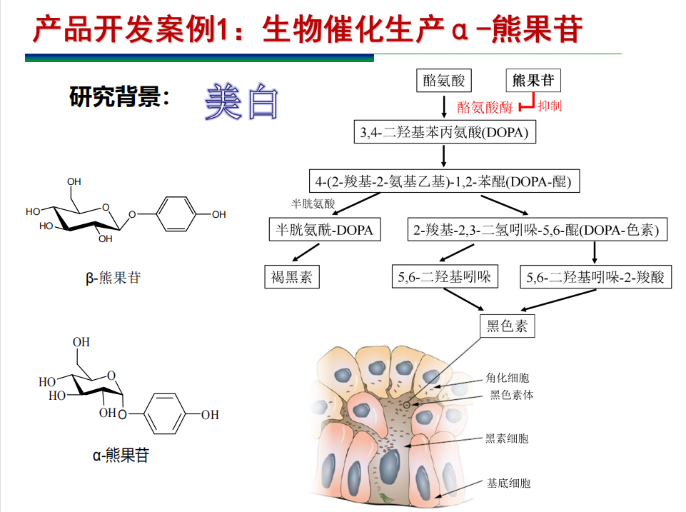 微信图片_20230103122318.png