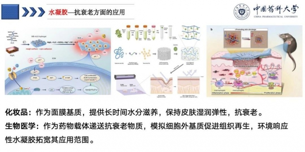 微信图片_20250520141137_1.jpg