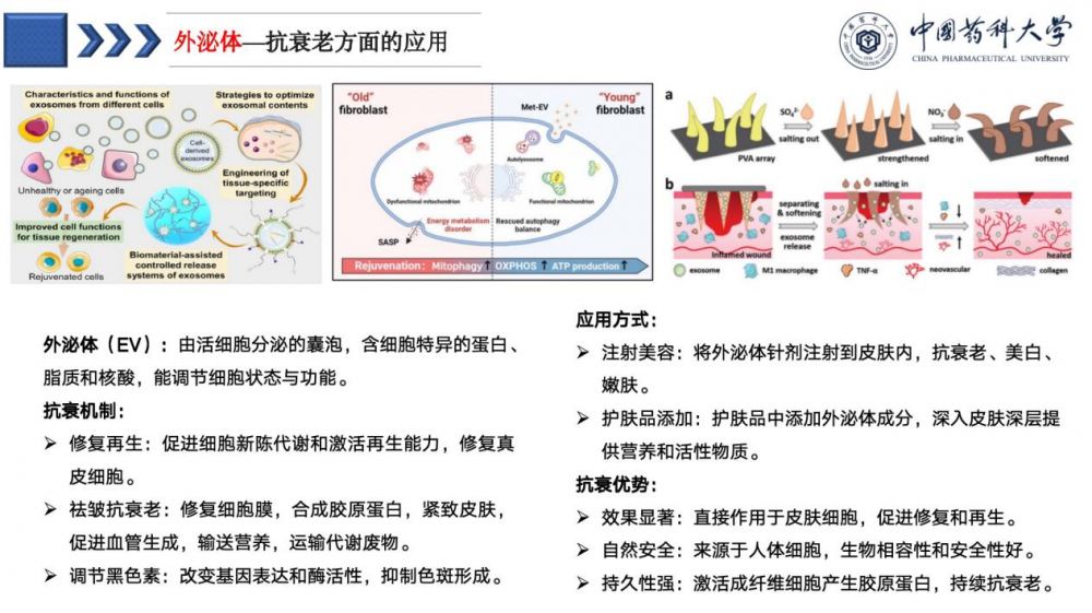 微信图片_20250520141137_2.png